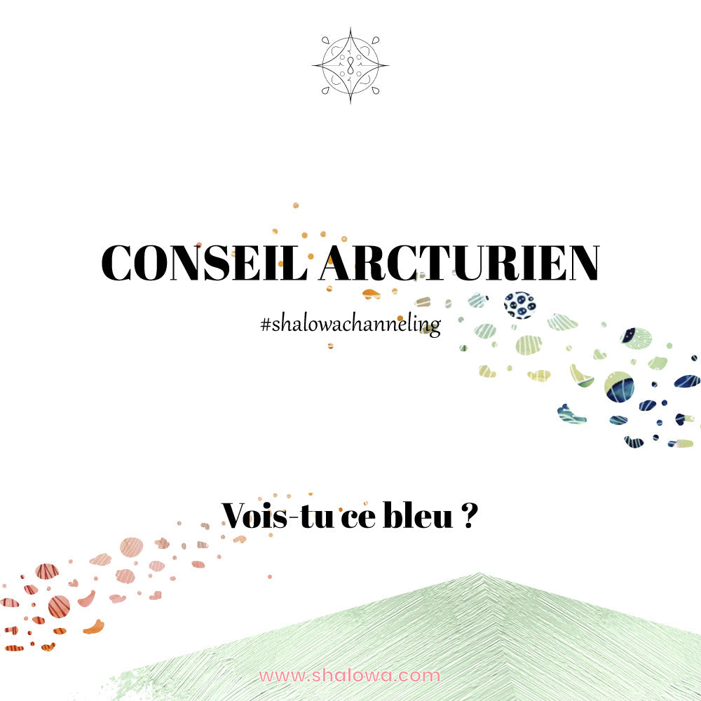 VOIS-TU CE BLEU ?