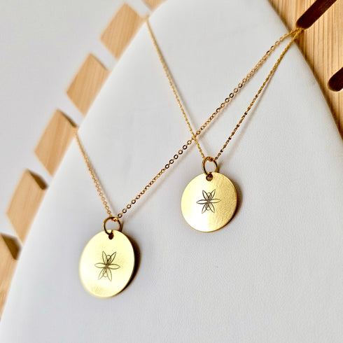 Collier médaillon ✦ Salamender