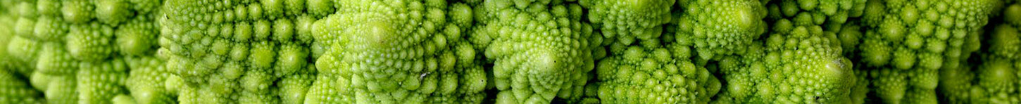 Shalowa-banniere-savoir-cosmique-geometrie-sacree